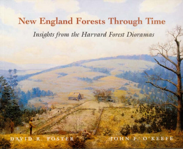 Book cover of: New England Forests Through Time. By: David R. Foster