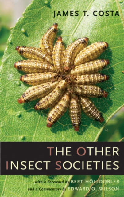 Book cover of: Other Insect Societies. By: James T. Costa
