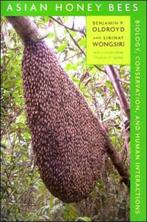 Asian Honey Bees