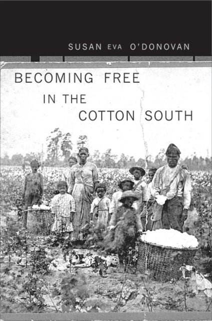 Book cover of: Becoming Free in the Cotton South. By: Susan Eva O'Donovan