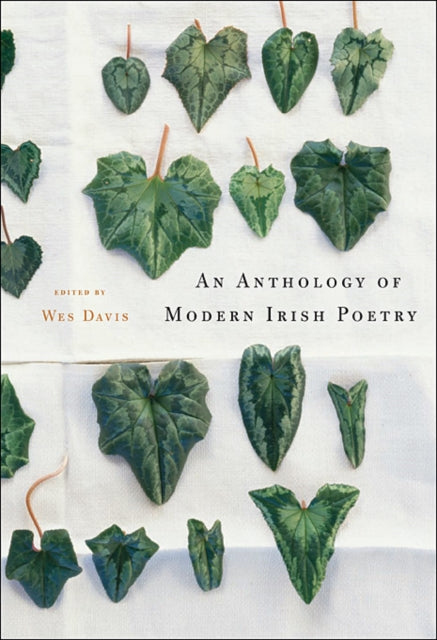 Book cover of: Anthology of Modern Irish Poetry