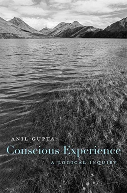 Book cover of: Conscious Experience. By: Anil Gupta