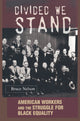 Book cover of: Divided We Stand