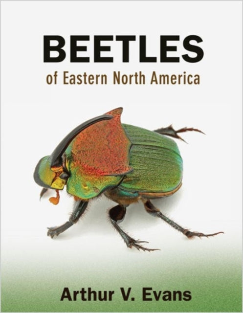 Book cover of: Beetles of Eastern North America. By: Arthur V. Evans