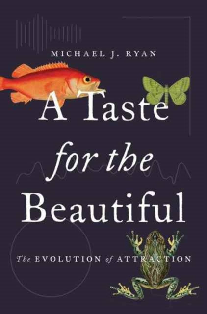 Book cover of: Taste for the Beautiful. By: Michael Joseph Ryan