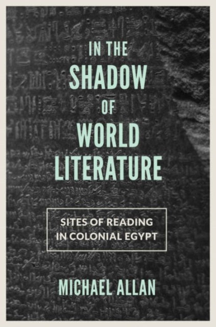 Book cover of: In the Shadow of World Literature. By: Michael Allan