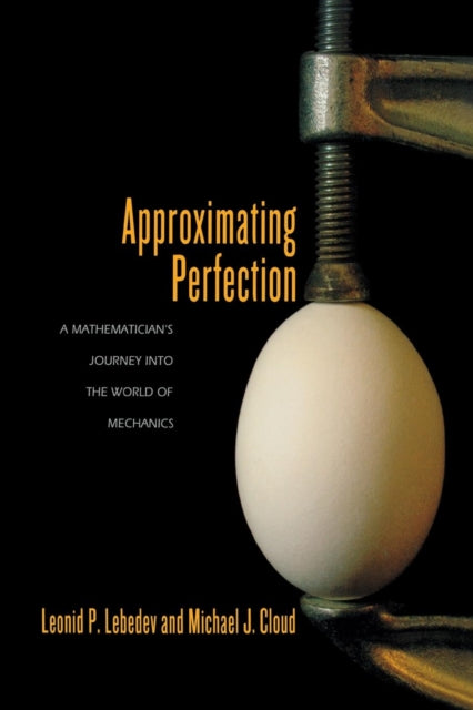 Book cover of: Approximating Perfection. By: Leonid P. Lebedev