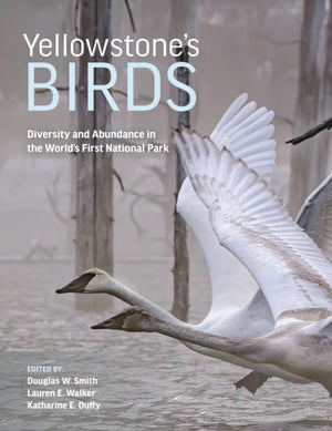 Yellowstone’s Birds