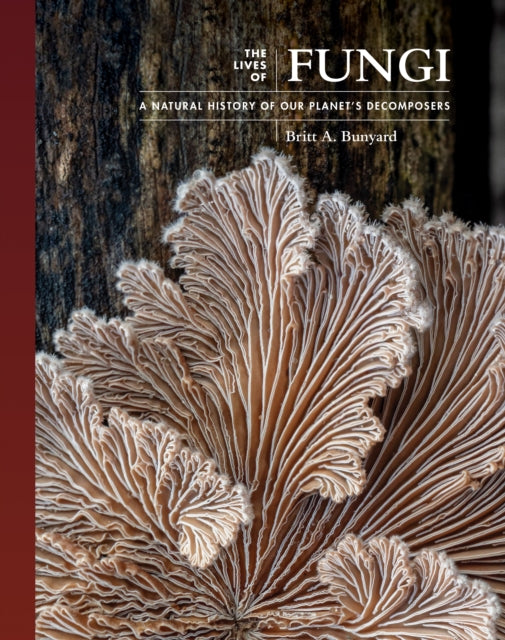 Book cover of: Lives of Fungi. By: Britt Bunyard