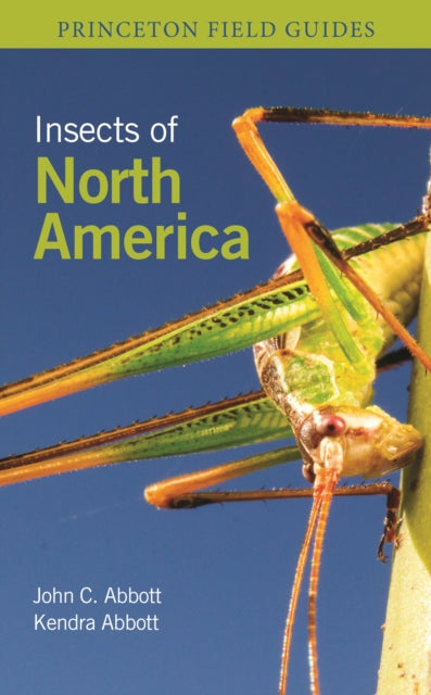 Book cover of: Insects of North America. By: John C. Abbott
