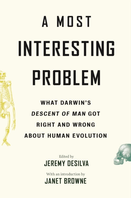 Book cover of: Most Interesting Problem. By: Jeremy DeSilva