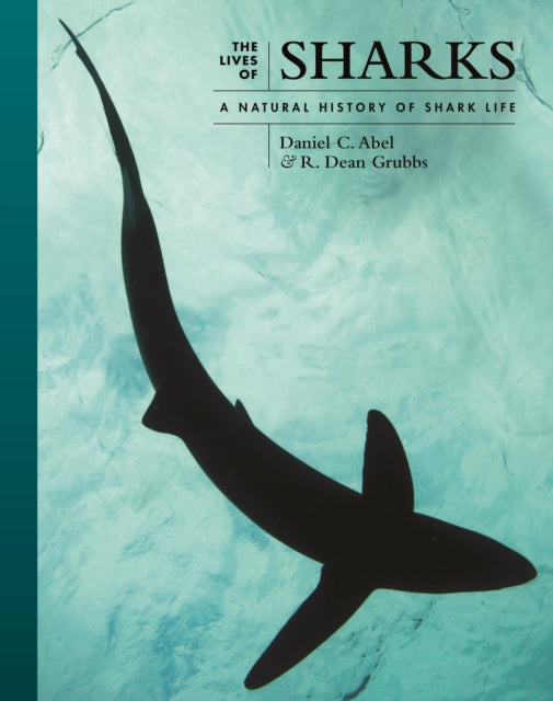 Book cover of: Lives of Sharks. By: Daniel C. Abel