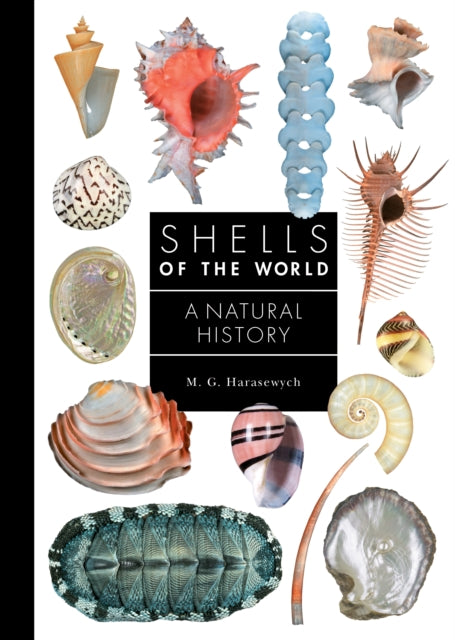 Book cover of: Shells of the World. By: M. G. Harasewych