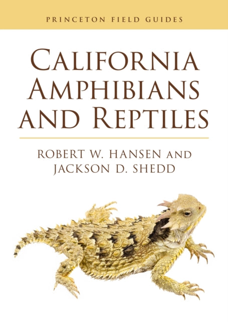 Book cover of: California Amphibians and Reptiles. By: Robert Hansen