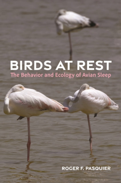 Book cover of: Birds at Rest