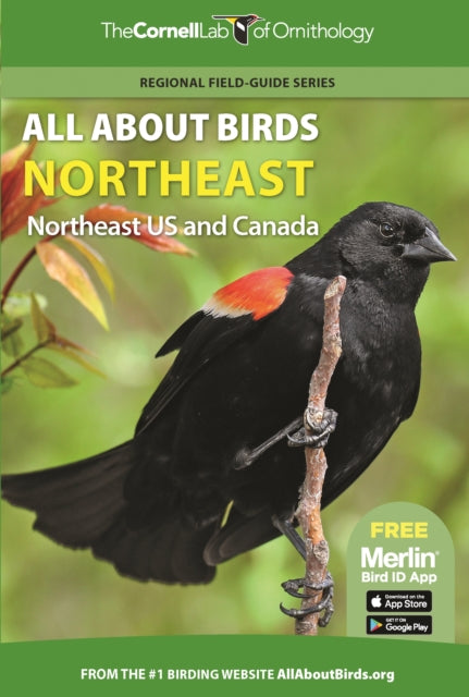 Book cover of: All About Birds Northeast. By: Cornell Lab of Ornithology