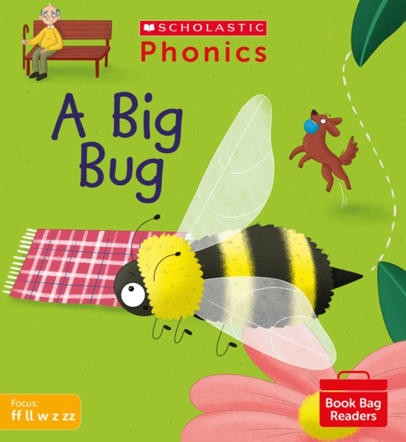 Book cover of: A Big Bug (Set 3). By: Karra McFarlane