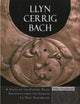 Book cover of: Llyn Cerrig Bach. By: Philip MacDonald