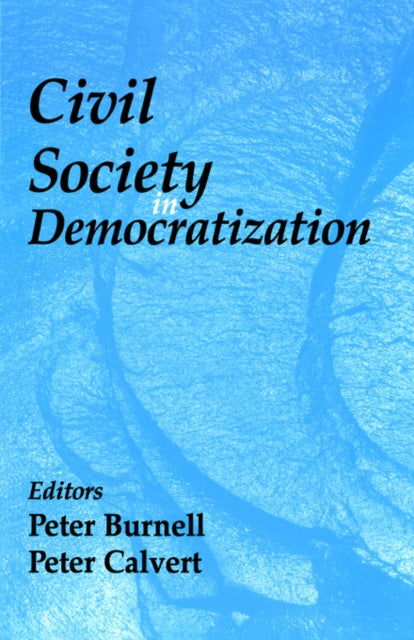 Book cover of: Civil Society in Democratization