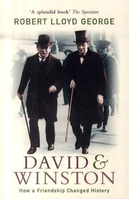 Book cover of: David and Winston. By: Robert Lloyd. George
