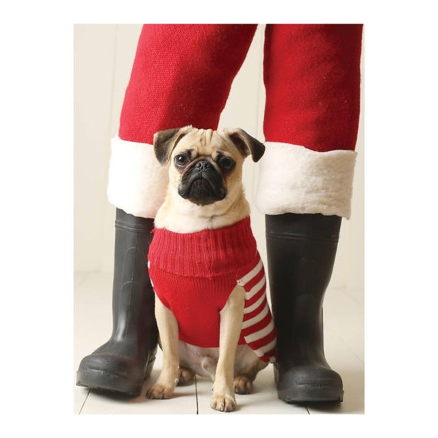 Book cover of: Pug Elf Notecards. By: Jennifer Adams