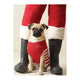 Book cover of: Pug Elf Notecards. By: Jennifer Adams