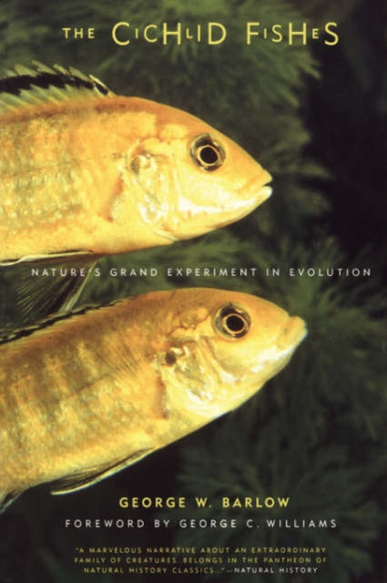 The Cichlid Fishes