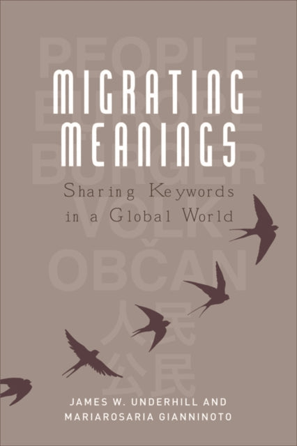 Book cover of: Migrating Meanings. By: James W. Underhill
