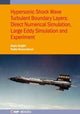 Book cover of: Hypersonic Shock Wave Turbulent Boundary Layers. By: KNIGHT