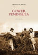 Book cover of: Gower Peninsula. By: David Gwynn