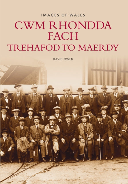 Book cover of: Cwm Rhondda Fach. By: David Owen