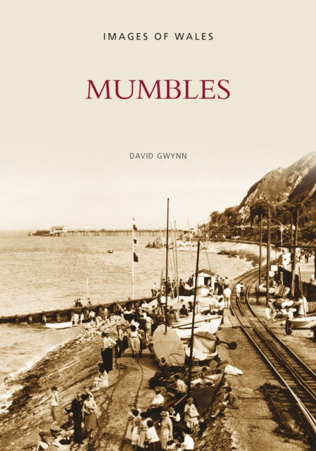 Book cover of: Mumbles. By: David Gwynn