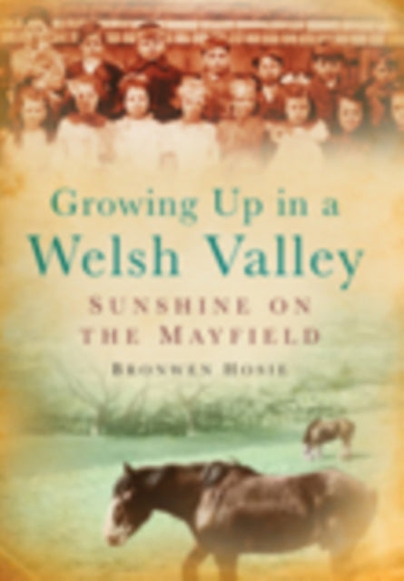 Book cover of: Growing Up in a Welsh Valley: Sunshine on the Mayfield. By: Bronwen Hosie