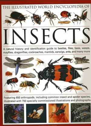 Illustrated World Encyclopaedia of Insects