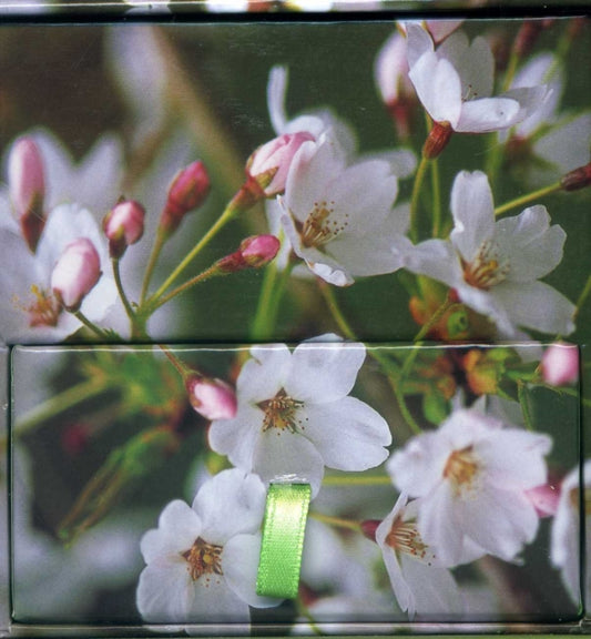Book cover of: Memo Block Cherry Blossom. By: Peony Press