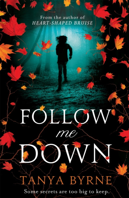 Book cover of: Follow Me Down. By: Tanya Byrne