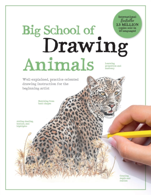Book cover of: Big School of Drawing Animals