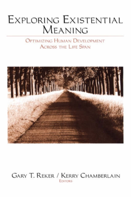 Book cover of: Exploring Existential Meaning