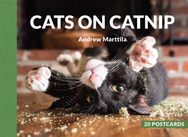 Book cover of: Cats on Catnip: 20 Postcards. By: Andrew Marttila