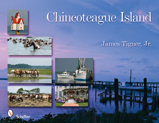 Book cover of: Chincoteague Island. By: James Tigner