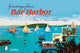 Book cover of: Greetings from Bar Harbor. By: Mary L. Martin