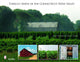 Book cover of: Tobacco Sheds of the Connecticut River Valley. By: Darcy Purinton
