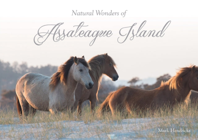 Book cover of: Natural Wonders of Assateague Island. By: Mark Hendricks