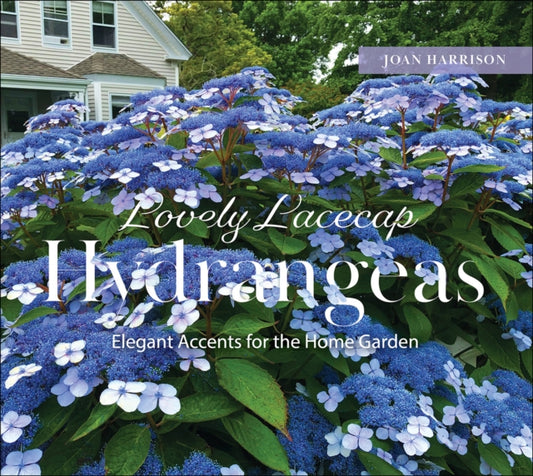 Book cover of: Lovely Lacecap Hydrangeas. By: Joan Harrison