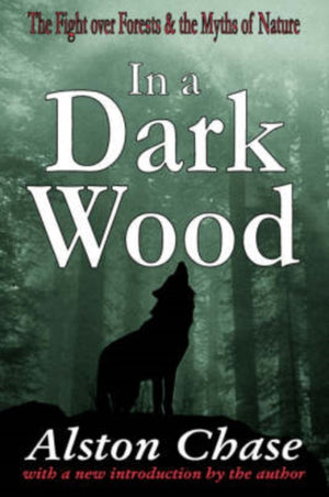 In a Dark Wood