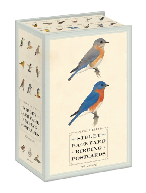 Book cover of: Sibley Backyard Birding Postcards. By: David Sibley