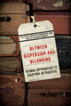 Book cover of: Between Dispersion and Belonging