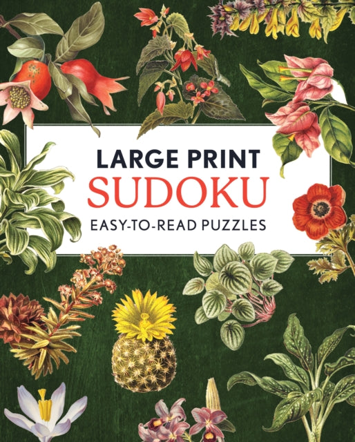 Book cover of: Large Print Sudoku