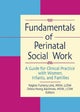 Book cover of: Fundamentals of Perinatal Social Work