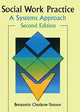 Book cover of: Social Work Practice
